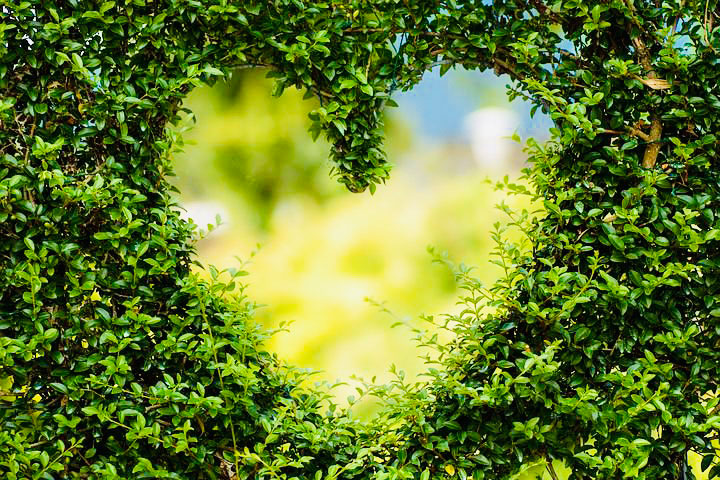 Ouvrir son cœur aux esprits de la nature
